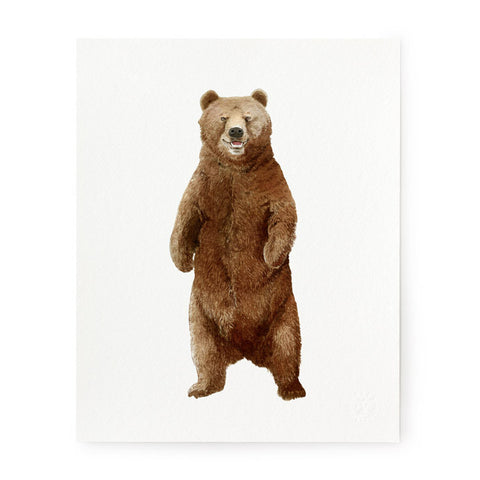 Bear - Art Prints