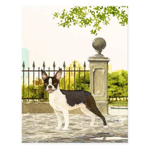Boston Terrier - Occasion Card