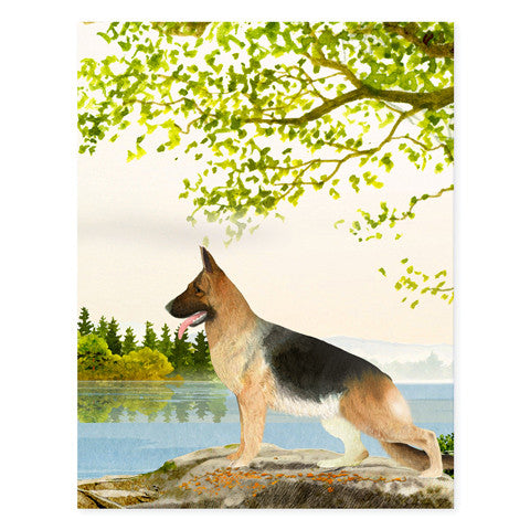 German Shepherd - Occasion Cards