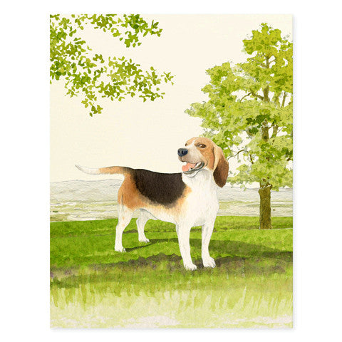 Beagle - Occasion Cards