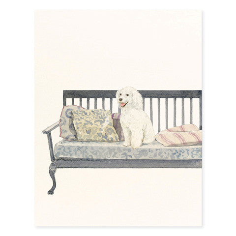 Poodle on Bench - Occasion Cards