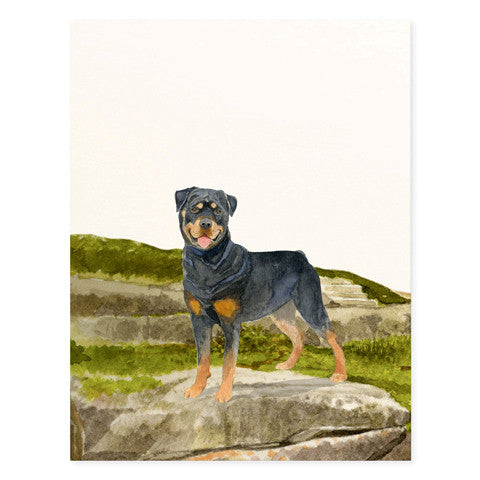 Rottweiler - Occasion Cards