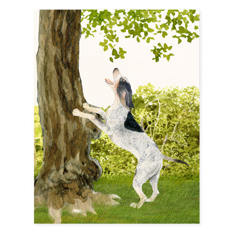 Coonhound - Occasion Cards