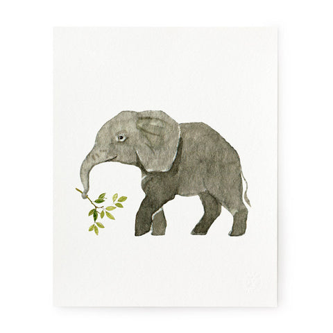 Elephant Calf - Art Prints