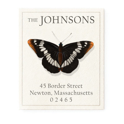 Limenitis Lorquini Butterfly - Return Address Labels