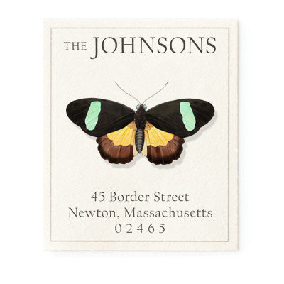 Lepidoptera Butterfly - Return Address Labels