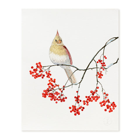 Lady Cardinal