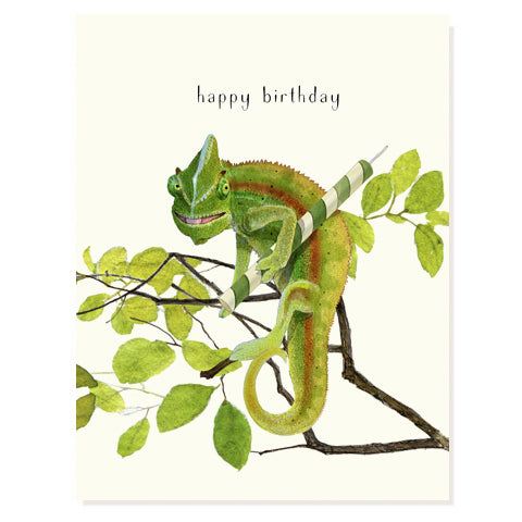 Birthday Chameleon