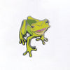 Tree Frog