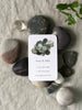 Personal Calling Cards