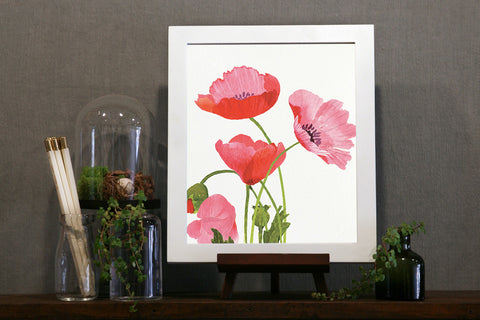 Art Print - Pink Poppies