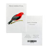 Scarlet Tanager